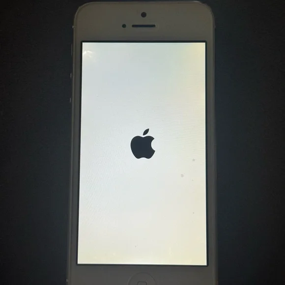 Apple Iphone 5 (A1429)